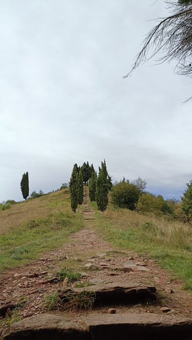 Alla scoperta del Parco del Curone: piramidi, cascine e Montevecchia Alla scoperta del Parco del Curone: piramidi, cascine e Montevecchia desktop picture