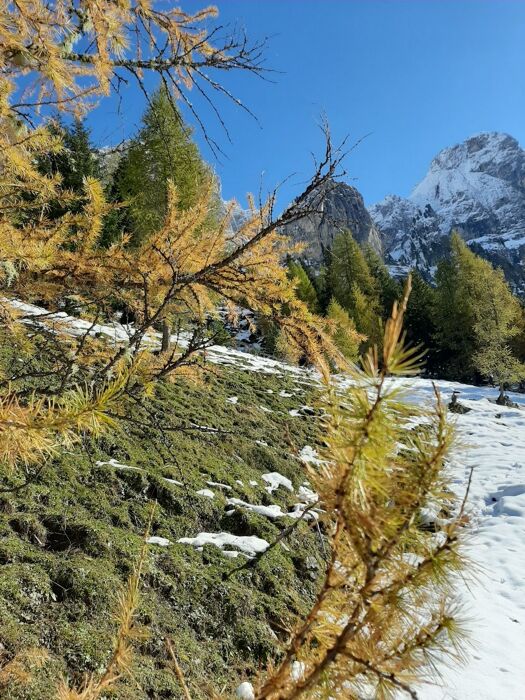 Emozionante trekking tra Val Venegia e baita Segantini Emozionante trekking tra Val Venegia e baita Segantini desktop picture