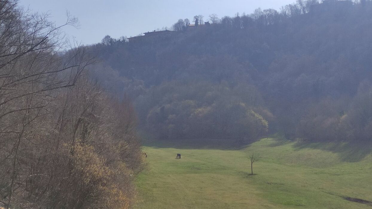 Trekking Berico e il Cras di Villabalzana con pranzo in Trattoria Trekking Berico e il Cras di Villabalzana con pranzo in Trattoria desktop picture