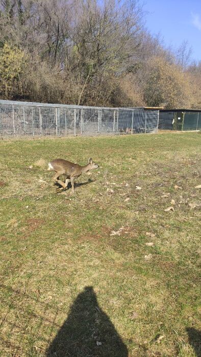 Trekking Berico e il Cras di Villabalzana con pranzo in Trattoria Trekking Berico e il Cras di Villabalzana con pranzo in Trattoria desktop picture