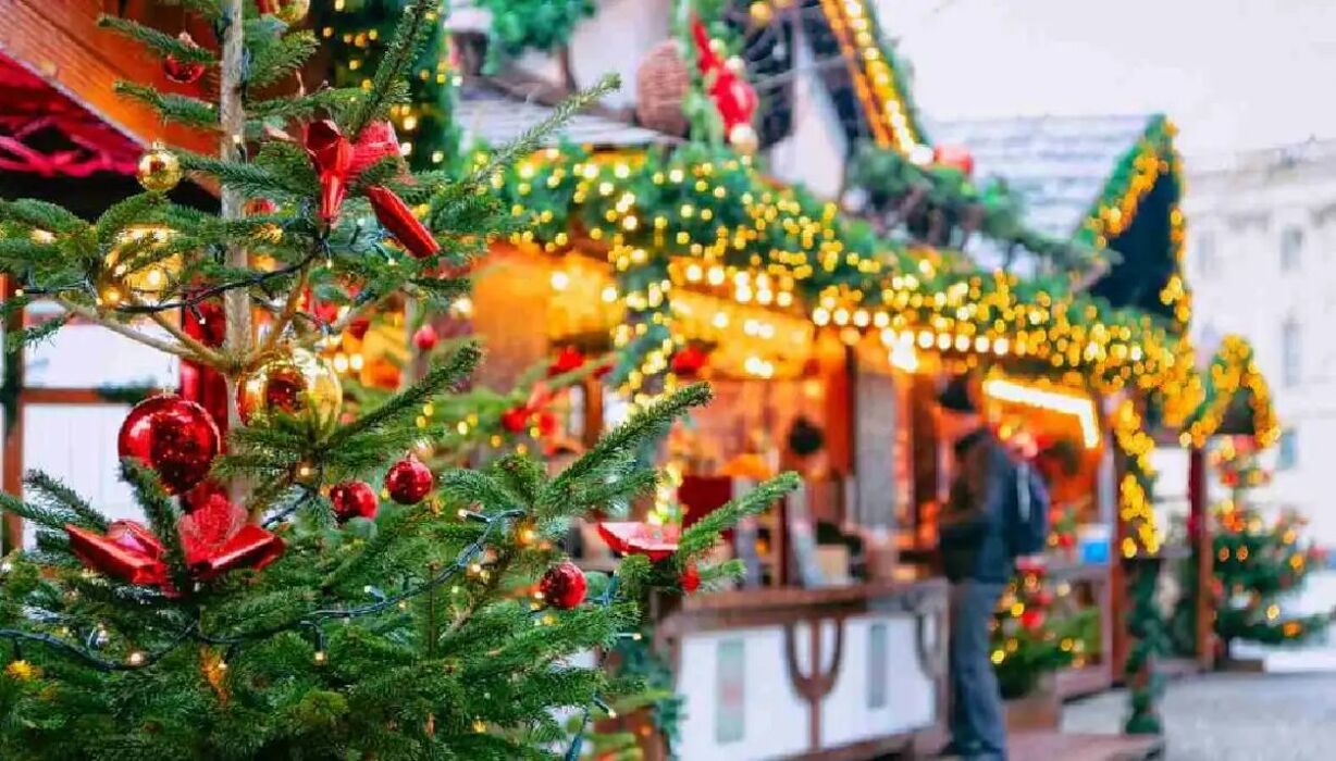 Tour Natalizio a Pavia: dalle Tradizioni dei Celti a oggi Tour Natalizio a Pavia: dalle Tradizioni dei Celti a oggi desktop picture