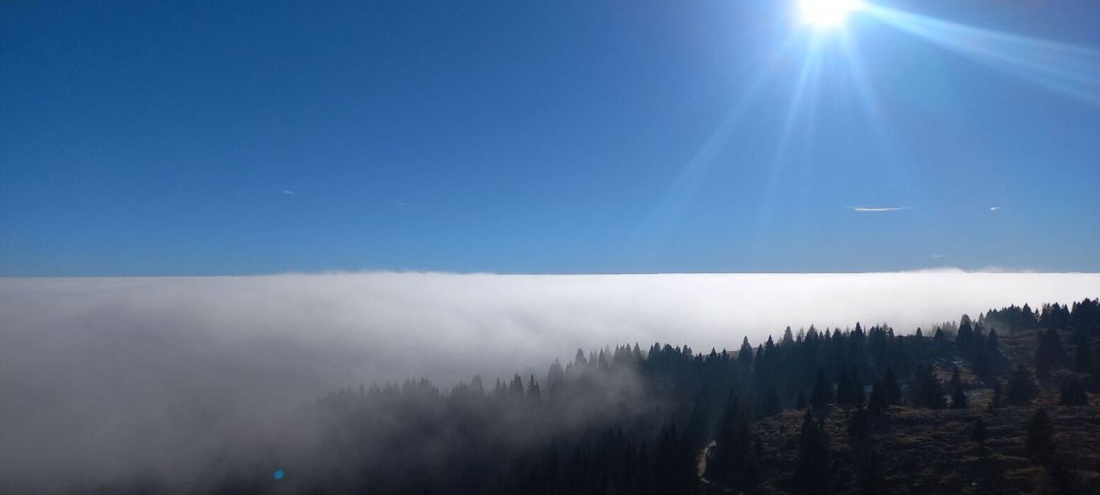 Ciaspolata Serale a Cima Ekar: osservatorio e sentiero Patrizio Rigoni Ciaspolata Serale a Cima Ekar: osservatorio e sentiero Patrizio Rigoni desktop picture