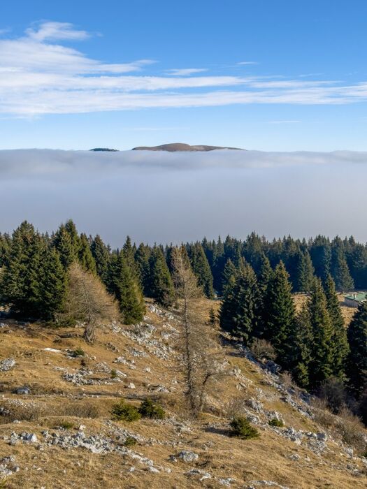Ciaspolata Serale a Cima Ekar: osservatorio e sentiero Patrizio Rigoni Ciaspolata Serale a Cima Ekar: osservatorio e sentiero Patrizio Rigoni desktop picture