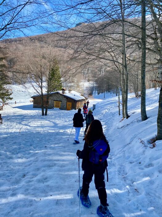 Ciaspolata attorno al Lago Ventasso: Natura e Avventura Ciaspolata attorno al Lago Ventasso: Natura e Avventura desktop picture