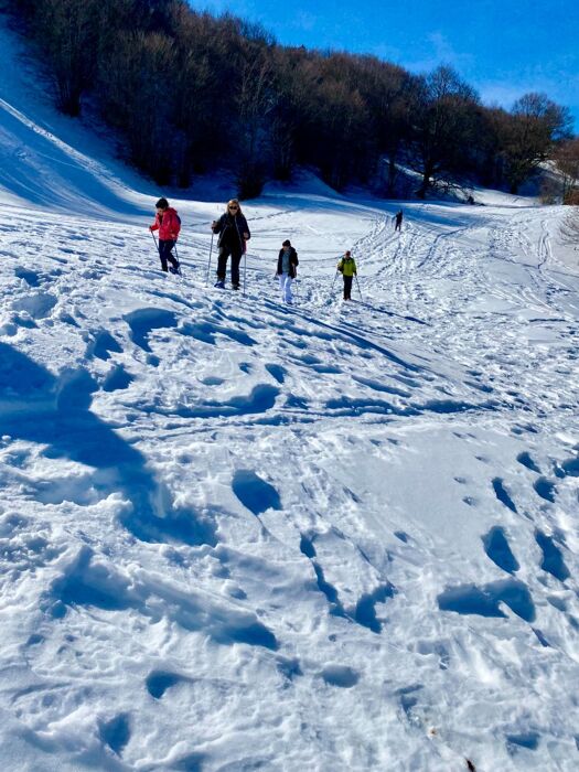 Ciaspolata attorno al Lago Ventasso: Natura e Avventura Ciaspolata attorno al Lago Ventasso: Natura e Avventura desktop picture