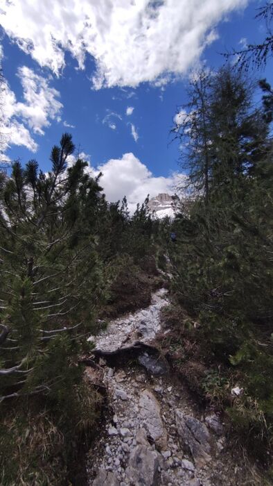 Ciaspolata al laghetto del Vach e all'antico borgo di Colcerver Ciaspolata al laghetto del Vach e all'antico borgo di Colcerver desktop picture