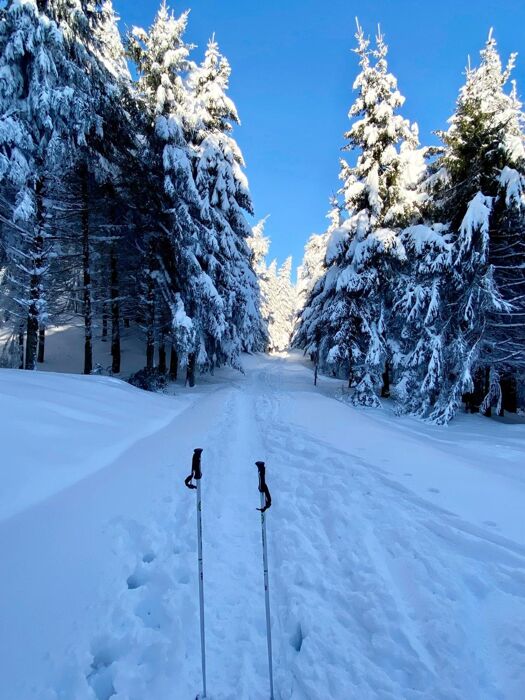Con le Ciaspole fino in cima Monte Caio Parmense Con le Ciaspole fino in cima Monte Caio Parmense desktop picture