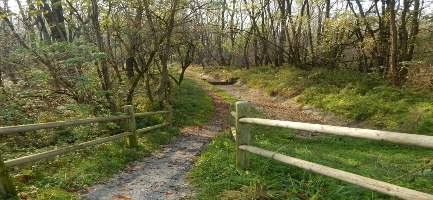 Passeggiando fra la natura nel Parco del Roccolo Passeggiando fra la natura nel Parco del Roccolo desktop picture