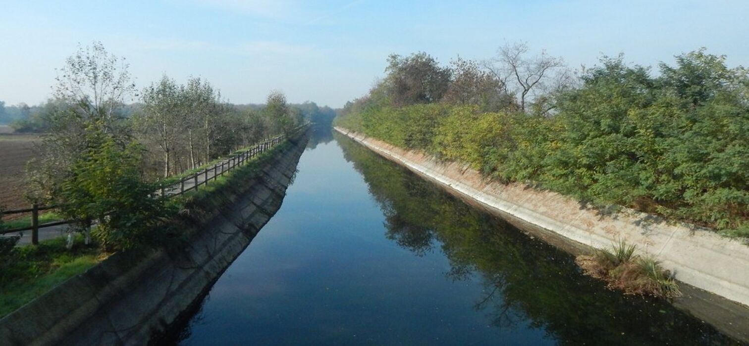Passeggiando fra la natura nel Parco del Roccolo Passeggiando fra la natura nel Parco del Roccolo desktop picture