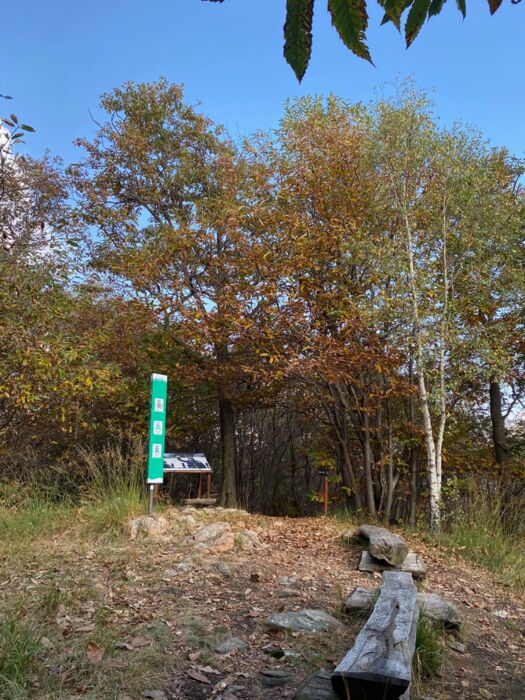 La Linea della Pace: da Cuasso al Monte fino al Sasso Paradiso La Linea della Pace: da Cuasso al Monte fino al Sasso Paradiso desktop picture