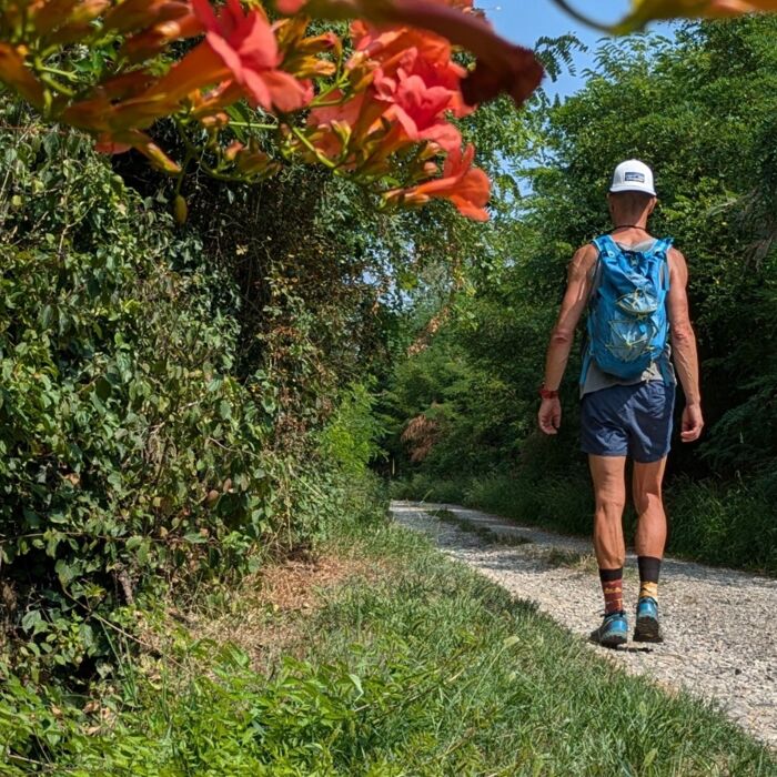 Collinata: Trekking a San Colombano al Lambro Collinata: Trekking a San Colombano al Lambro desktop picture