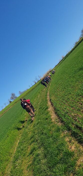 Escursione tra Pietra Marazzi e il Bric dell'Olio Escursione tra Pietra Marazzi e il Bric dell'Olio desktop picture