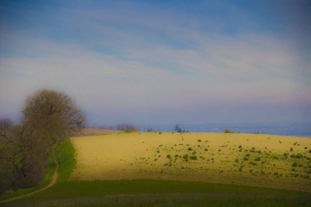 Escursione tra Pietra Marazzi e il Bric dell'Olio Escursione tra Pietra Marazzi e il Bric dell'Olio desktop picture