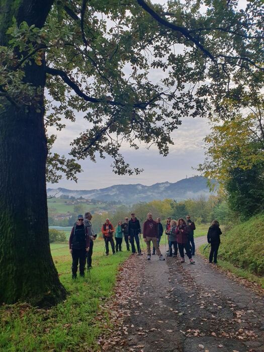 Escursione nei Borghi del Monferrato: Giro dei Castelli di Pomaro Escursione nei Borghi del Monferrato: Giro dei Castelli di Pomaro desktop picture