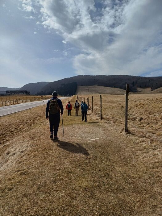 Trekking e yoga nella foresta del Cansiglio con pranzo tipico Trekking e yoga nella foresta del Cansiglio con pranzo tipico desktop picture