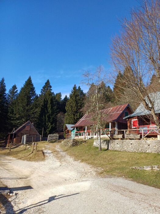 Trekking e yoga nella foresta del Cansiglio con pranzo tipico Trekking e yoga nella foresta del Cansiglio con pranzo tipico desktop picture