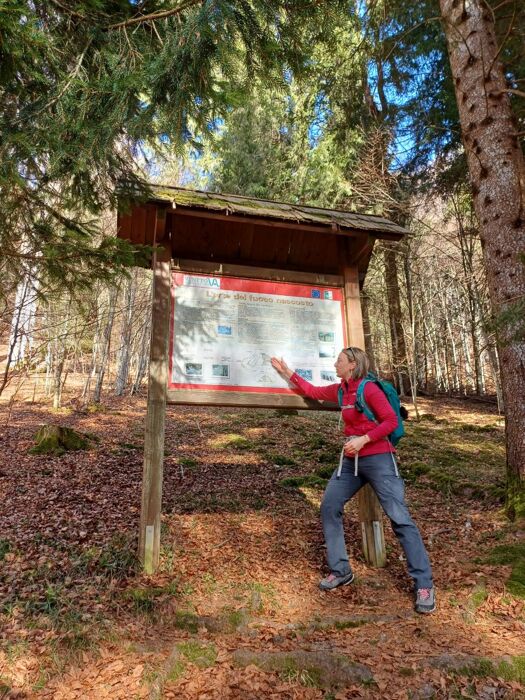 Trekking e yoga nella foresta del Cansiglio con pranzo tipico Trekking e yoga nella foresta del Cansiglio con pranzo tipico desktop picture