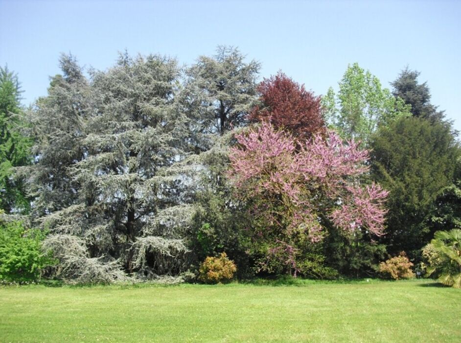 Forte di guerra austriaco "Gisella", Parco Corte Pigno e degustazione Forte di guerra austriaco "Gisella", Parco Corte Pigno e degustazione desktop picture