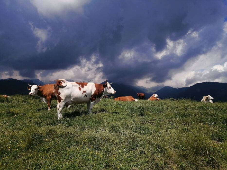 Il fascino della Valle delle Sfingi con pranzo in rifugio Il fascino della Valle delle Sfingi con pranzo in rifugio desktop picture