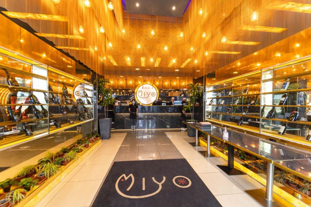 Cena giapponese All you can eat a Torino Cena giapponese All you can eat a Torino desktop picture