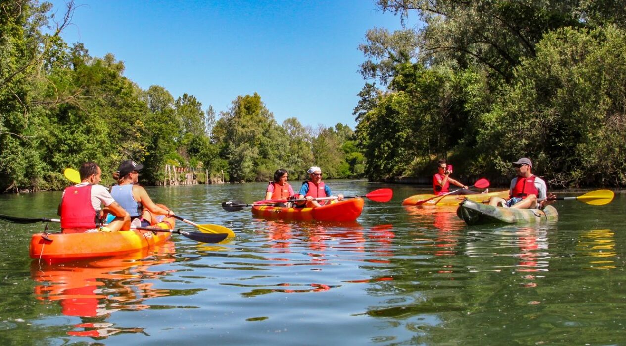 Weekend tra il fiume Sile e la Laguna di Venezia Weekend tra il fiume Sile e la Laguna di Venezia desktop picture