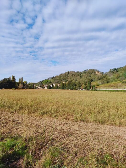 Escursione ad Anello tra Monticelli e M. Lispida Escursione ad Anello tra Monticelli e M. Lispida desktop picture