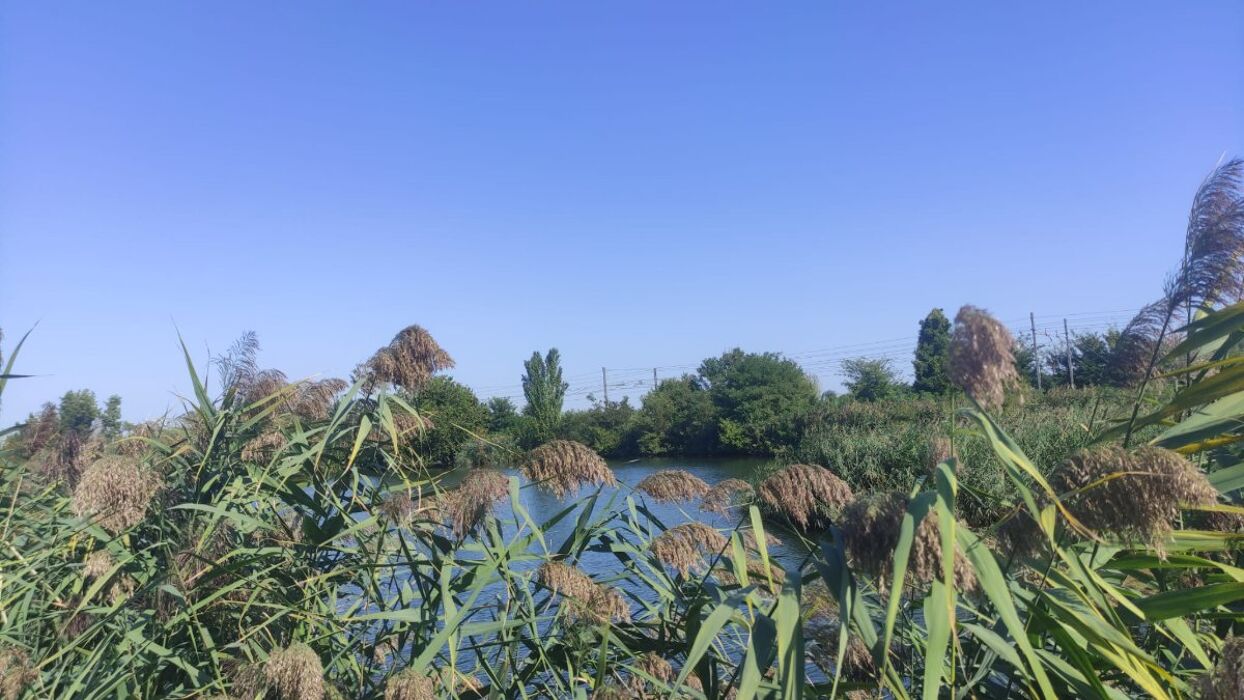 Escursione ad Anello tra Monticelli e M. Lispida Escursione ad Anello tra Monticelli e M. Lispida desktop picture