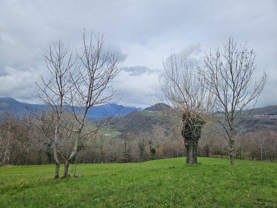 Escursione tra le contrade di Alvese alla ricerca dei Murales Escursione tra le contrade di Alvese alla ricerca dei Murales desktop picture