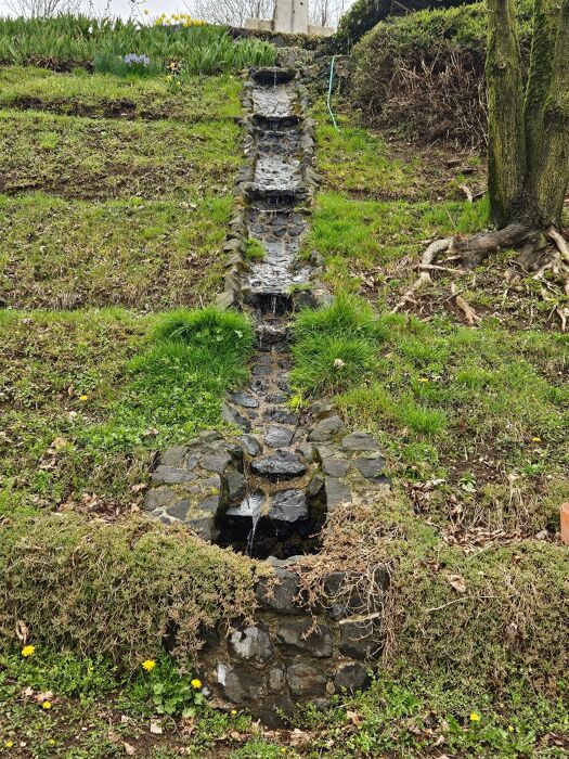 Escursione tra le contrade di Alvese alla ricerca dei Murales Escursione tra le contrade di Alvese alla ricerca dei Murales desktop picture