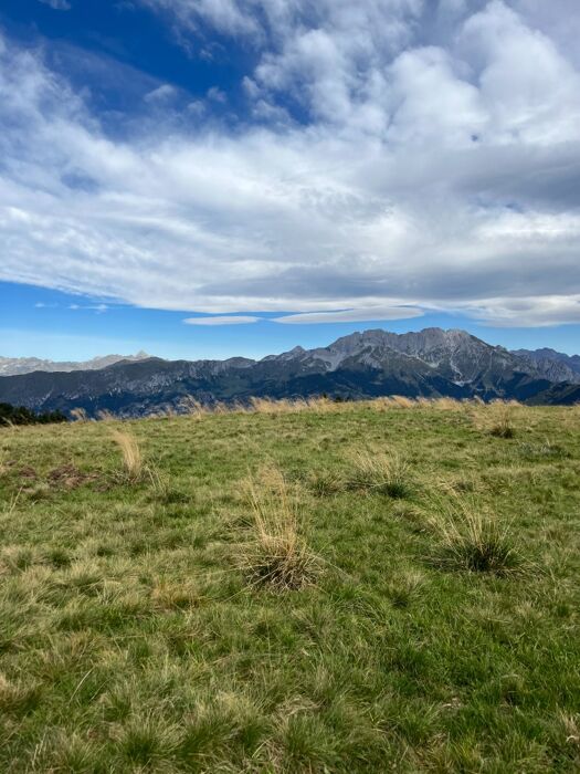 Escursione al Monte Alto e pranzo al Rifugio Magnolini Escursione al Monte Alto e pranzo al Rifugio Magnolini desktop picture
