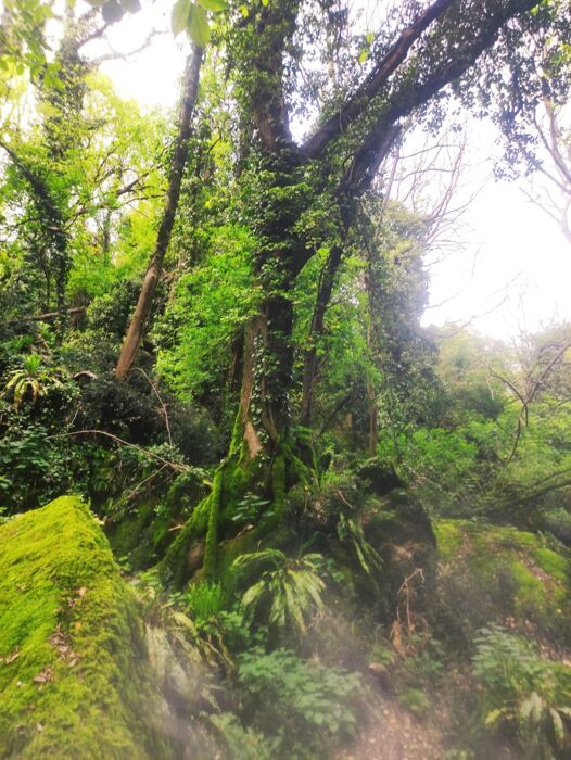 Spurghe di Sant'Urbano: il labirinto roccioso nascosto tra i colli Spurghe di Sant'Urbano: il labirinto roccioso nascosto tra i colli desktop picture