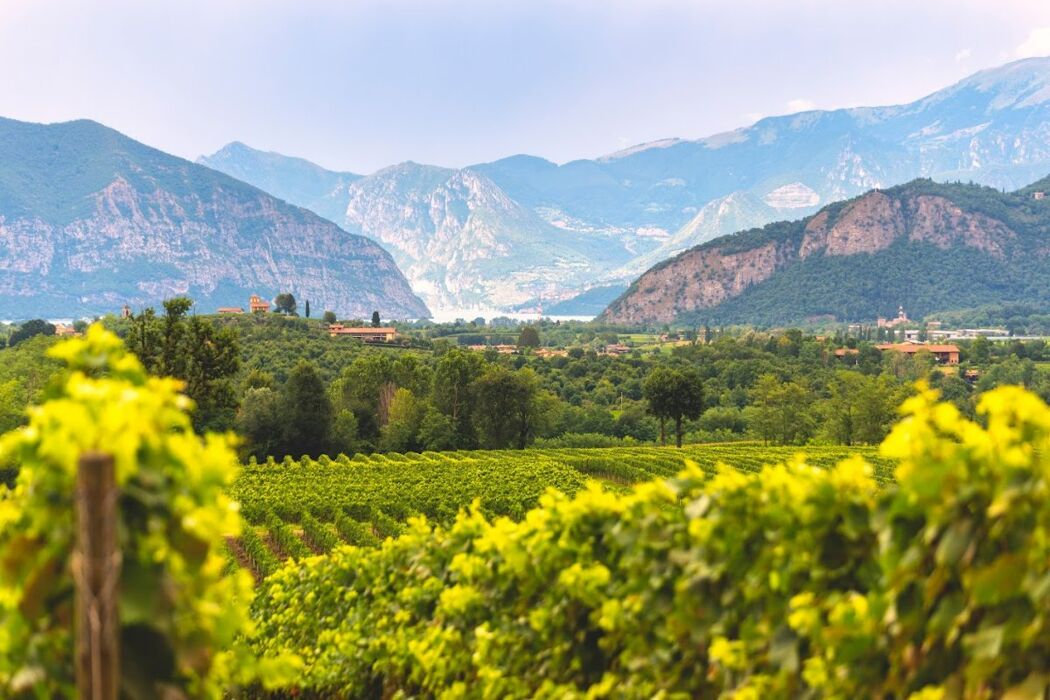 Weekend tra il Lago d'Iseo e la Franciacorta Weekend tra il Lago d'Iseo e la Franciacorta desktop picture