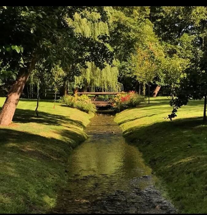 Buffet contadino: barbecue, toro meccanico e balli sotto le stelle Buffet contadino: barbecue, toro meccanico e balli sotto le stelle desktop picture