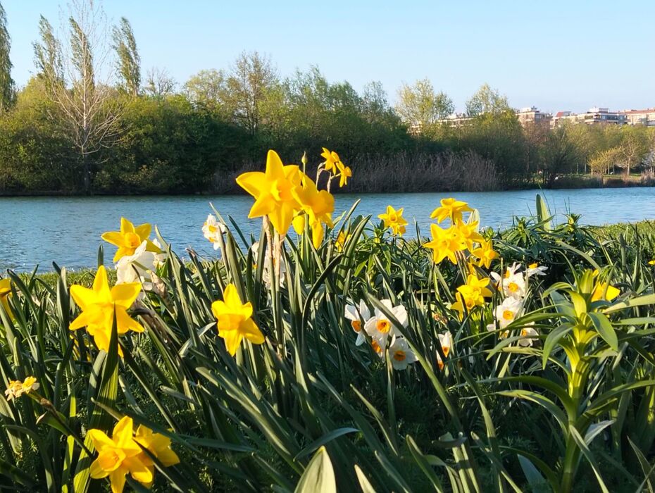 Passeggiata al Parco Nord e Aperitivo Passeggiata al Parco Nord e Aperitivo desktop picture