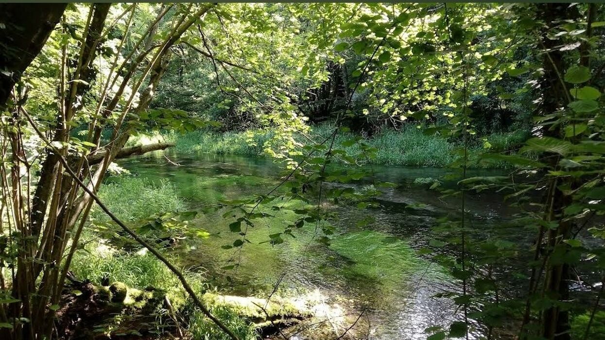 Apericena e passeggiata al Parco la Fagiana Apericena e passeggiata al Parco la Fagiana desktop picture