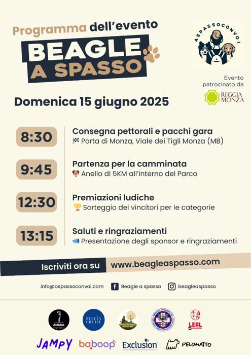 Beagle a spasso Beagle a spasso desktop picture