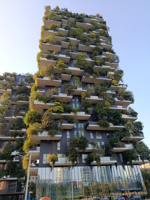 Pizzata per single a Isola - Milano Pizzata per single a Isola - Milano desktop picture