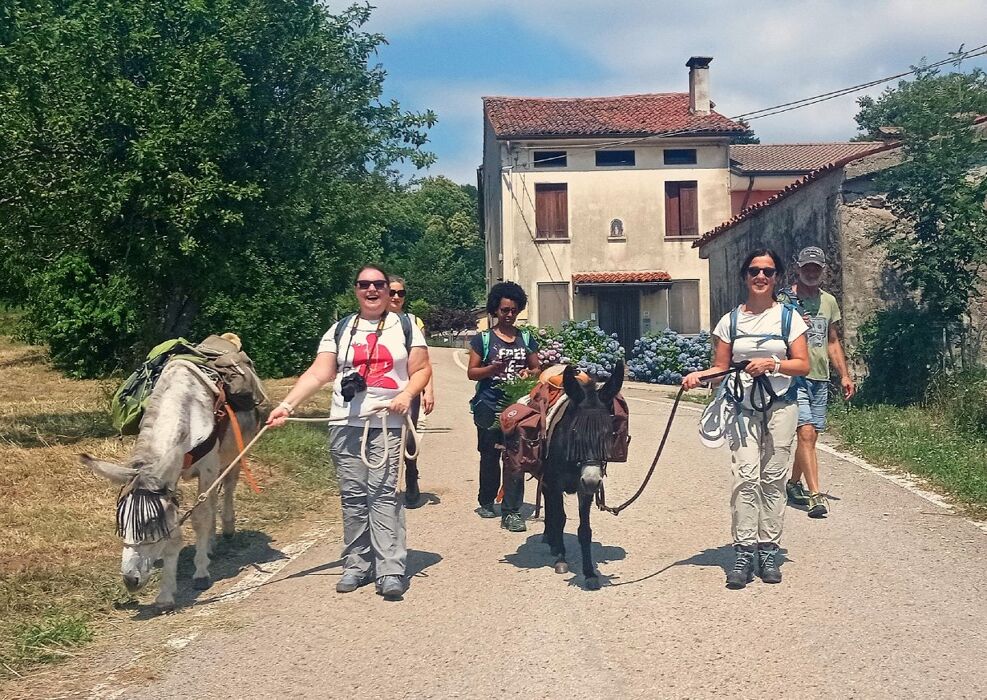 A passo d’asino nell'Alto Vicentino A passo d’asino nell'Alto Vicentino desktop picture
