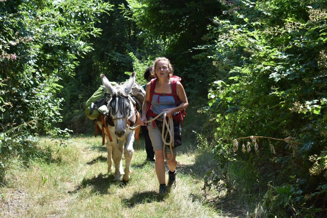 A passo d’asino nell'Alto Vicentino A passo d’asino nell'Alto Vicentino desktop picture