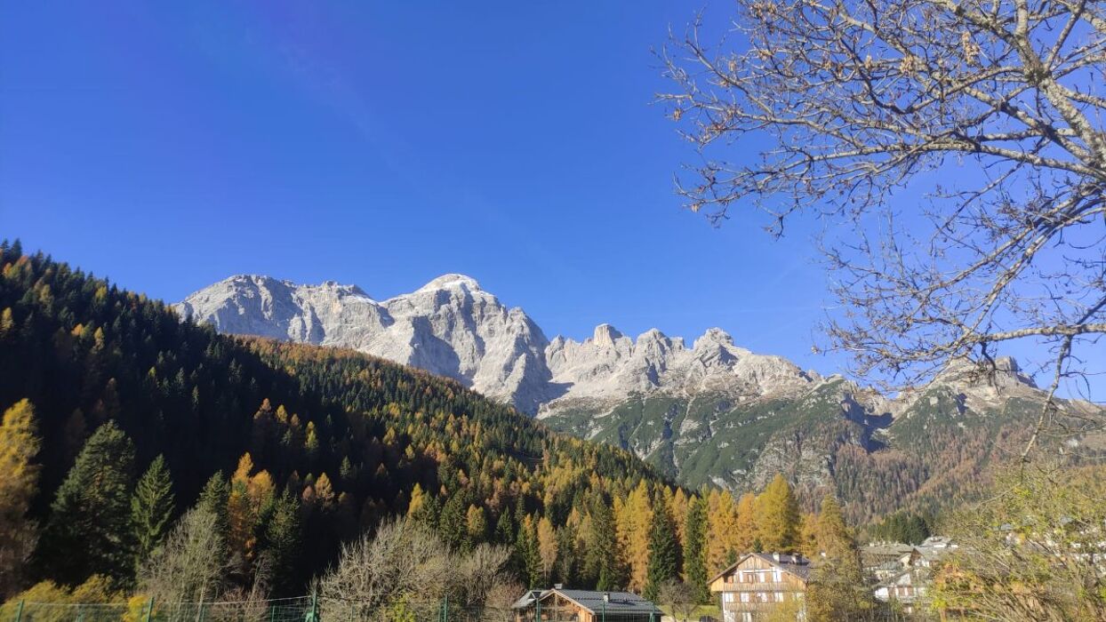 Monte Punta: anello panoramico tra boschi, pascoli e antichi tabià Monte Punta: anello panoramico tra boschi, pascoli e antichi tabià desktop picture