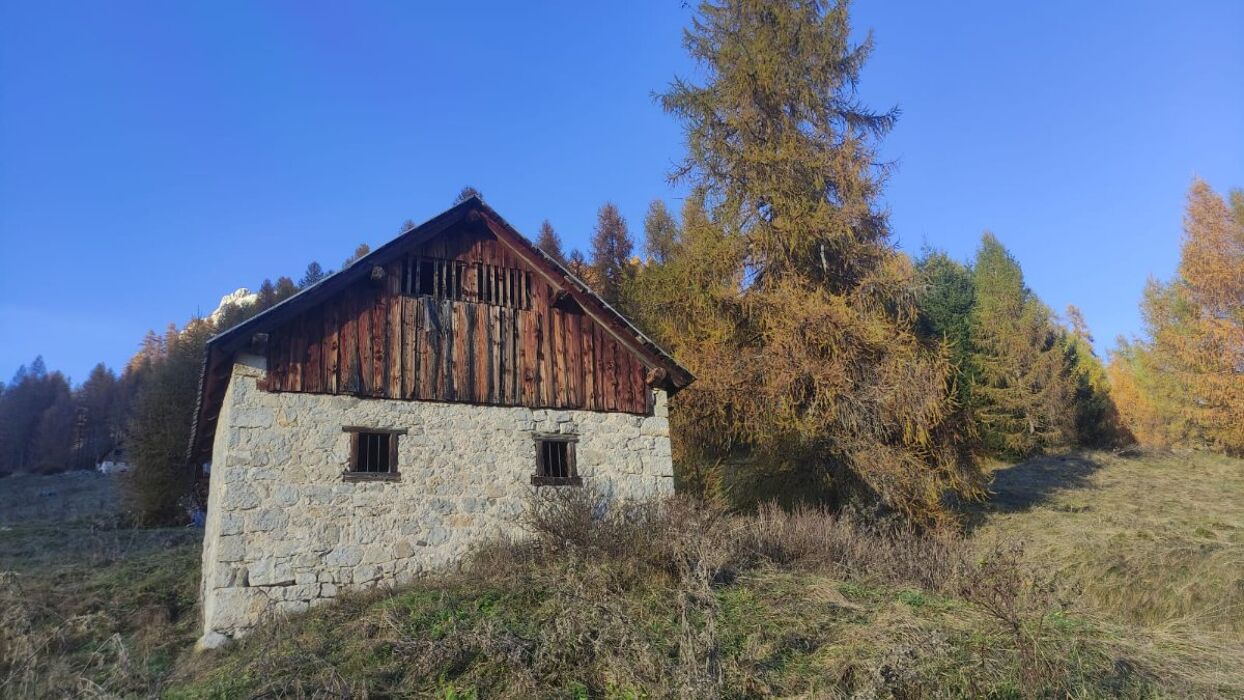 Monte Punta: anello panoramico tra boschi, pascoli e antichi tabià Monte Punta: anello panoramico tra boschi, pascoli e antichi tabià desktop picture