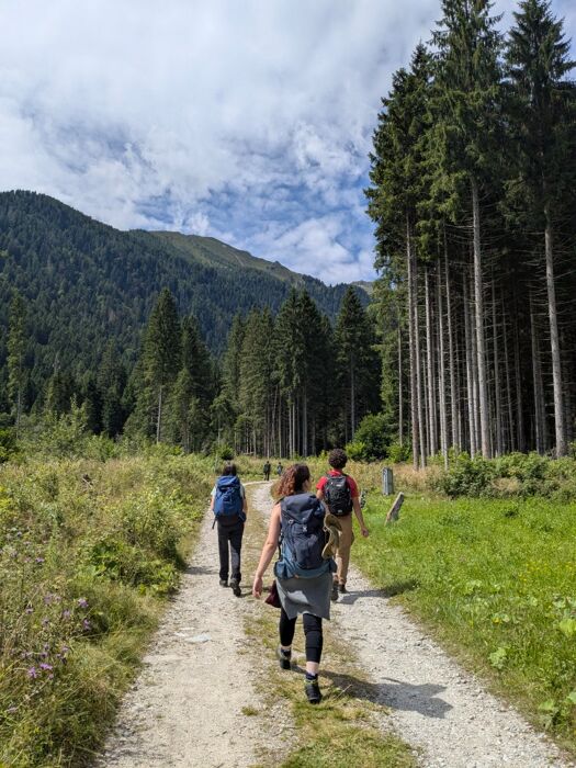 Forra Sorgazza, tra boschi e cascate Forra Sorgazza, tra boschi e cascate desktop picture