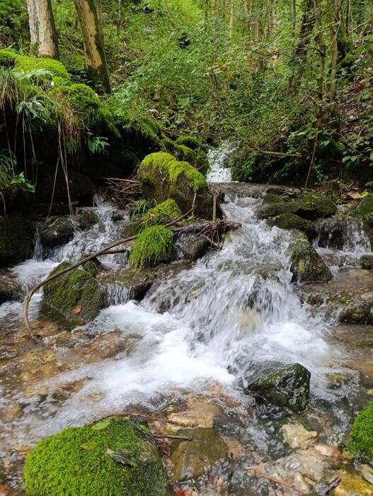 Ai piedi delle Piccole Dolomiti: tra boschi, cascate e panorami Ai piedi delle Piccole Dolomiti: tra boschi, cascate e panorami desktop picture