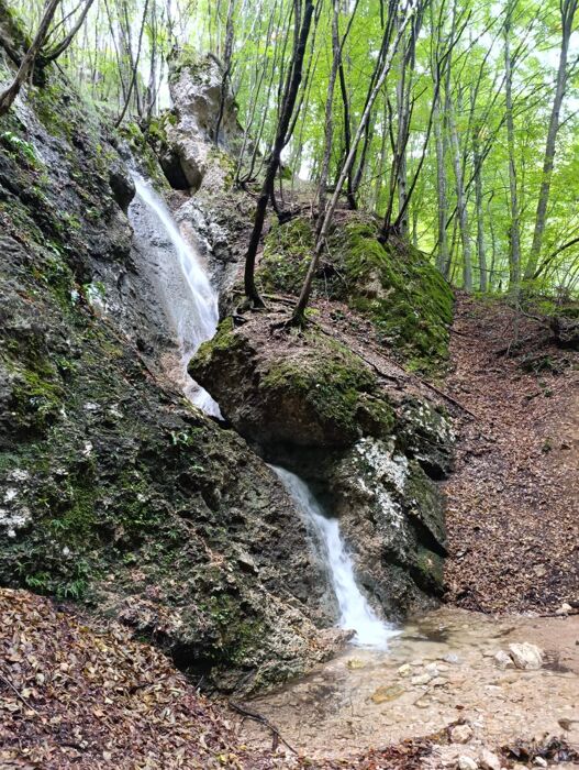 Ai piedi delle Piccole Dolomiti: tra boschi, cascate e panorami Ai piedi delle Piccole Dolomiti: tra boschi, cascate e panorami desktop picture
