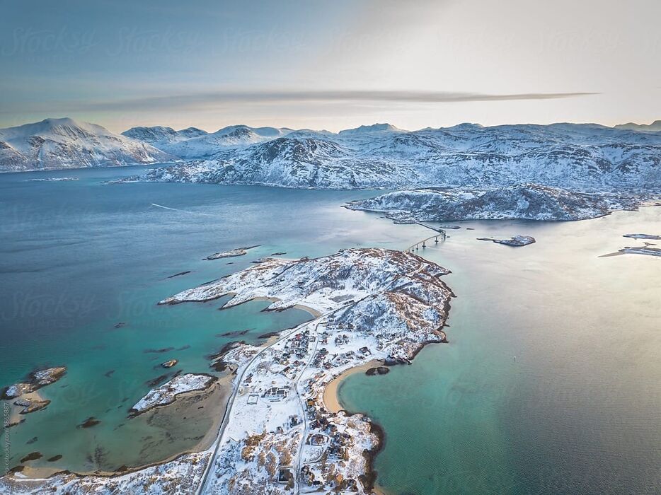 TROMSO: Tour avvistamento BALENE nella Capitale Artica norvegese TROMSO: Tour avvistamento BALENE nella Capitale Artica norvegese desktop picture