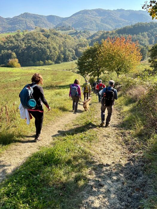 Varano de’ Melegari: Big Bench, e leggende tra pietre e castelli Varano de’ Melegari: Big Bench, e leggende tra pietre e castelli desktop picture