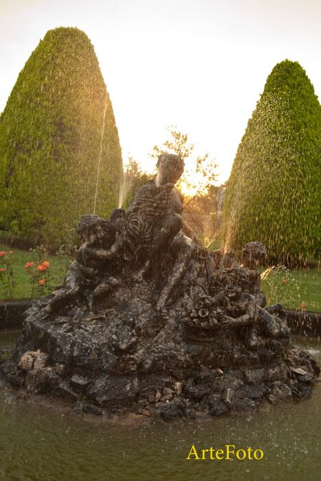 Pranzo di Natale 2025 Pranzo di Natale 2025 desktop picture