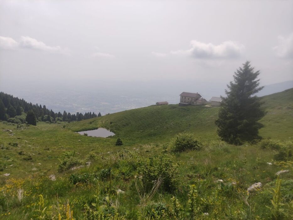 Camminando tra le ultime luci d’autunno: le malghe di Caltrano Camminando tra le ultime luci d’autunno: le malghe di Caltrano desktop picture