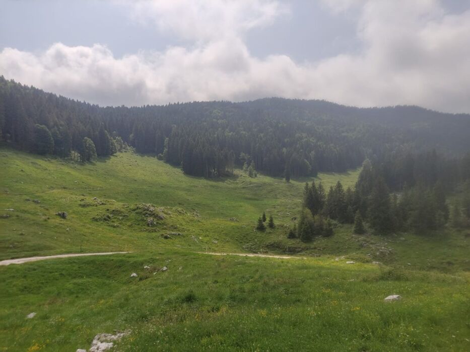 Camminando tra le ultime luci d’autunno: le malghe di Caltrano Camminando tra le ultime luci d’autunno: le malghe di Caltrano desktop picture