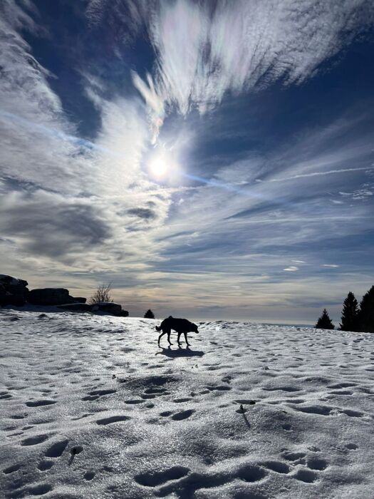 Da Bocchetta Granezza: malghe, sentieri partigiani e vista sui Colli Da Bocchetta Granezza: malghe, sentieri partigiani e vista sui Colli desktop picture